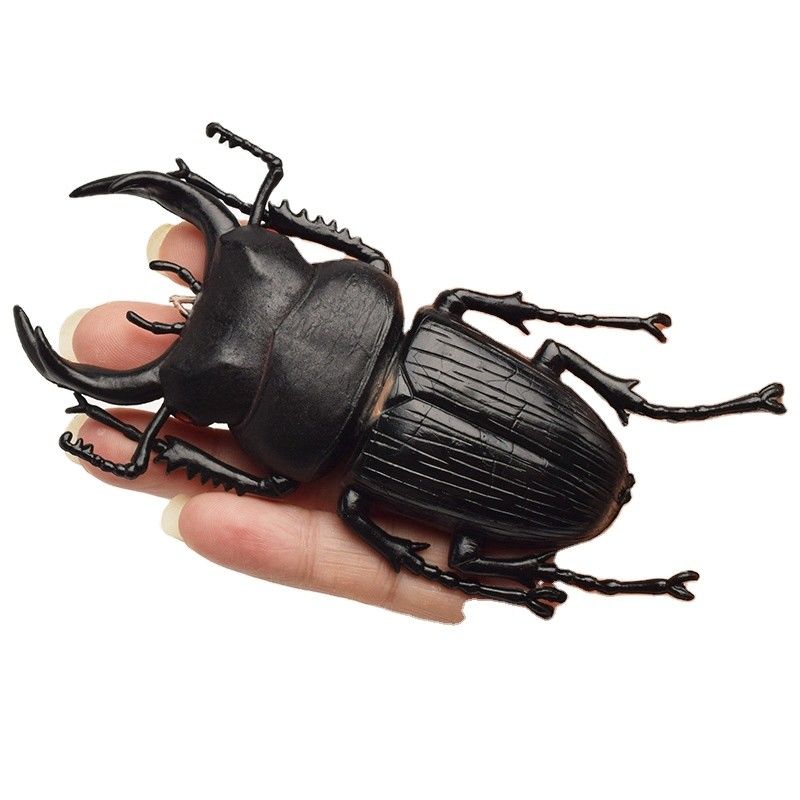 OEM-fabriek aangepast Lifelike Model Simulatie Insect Toy Kinderdagverblijf Onderwijshulpmiddelen Grap Speelgoed