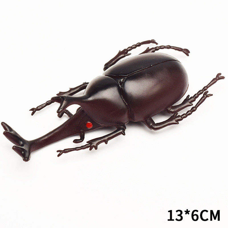 OEM-fabriek aangepast Lifelike Model Simulatie Insect Toy Kinderdagverblijf Onderwijshulpmiddelen Grap Speelgoed