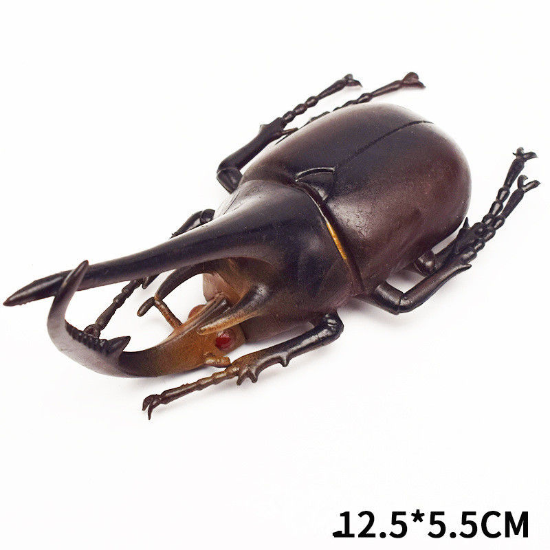 OEM-fabriek aangepast Lifelike Model Simulatie Insect Toy Kinderdagverblijf Onderwijshulpmiddelen Grap Speelgoed