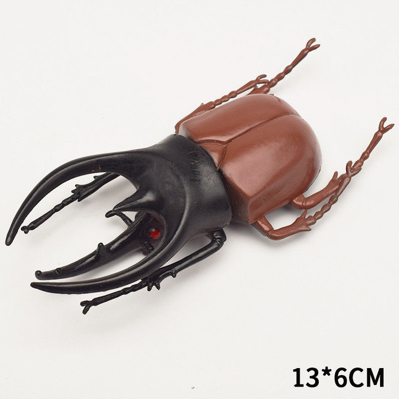 OEM-fabriek aangepast Lifelike Model Simulatie Insect Toy Kinderdagverblijf Onderwijshulpmiddelen Grap Speelgoed