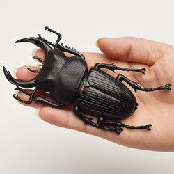 OEM-fabriek aangepast Lifelike Model Simulatie Insect Toy Kinderdagverblijf Onderwijshulpmiddelen Grap Speelgoed